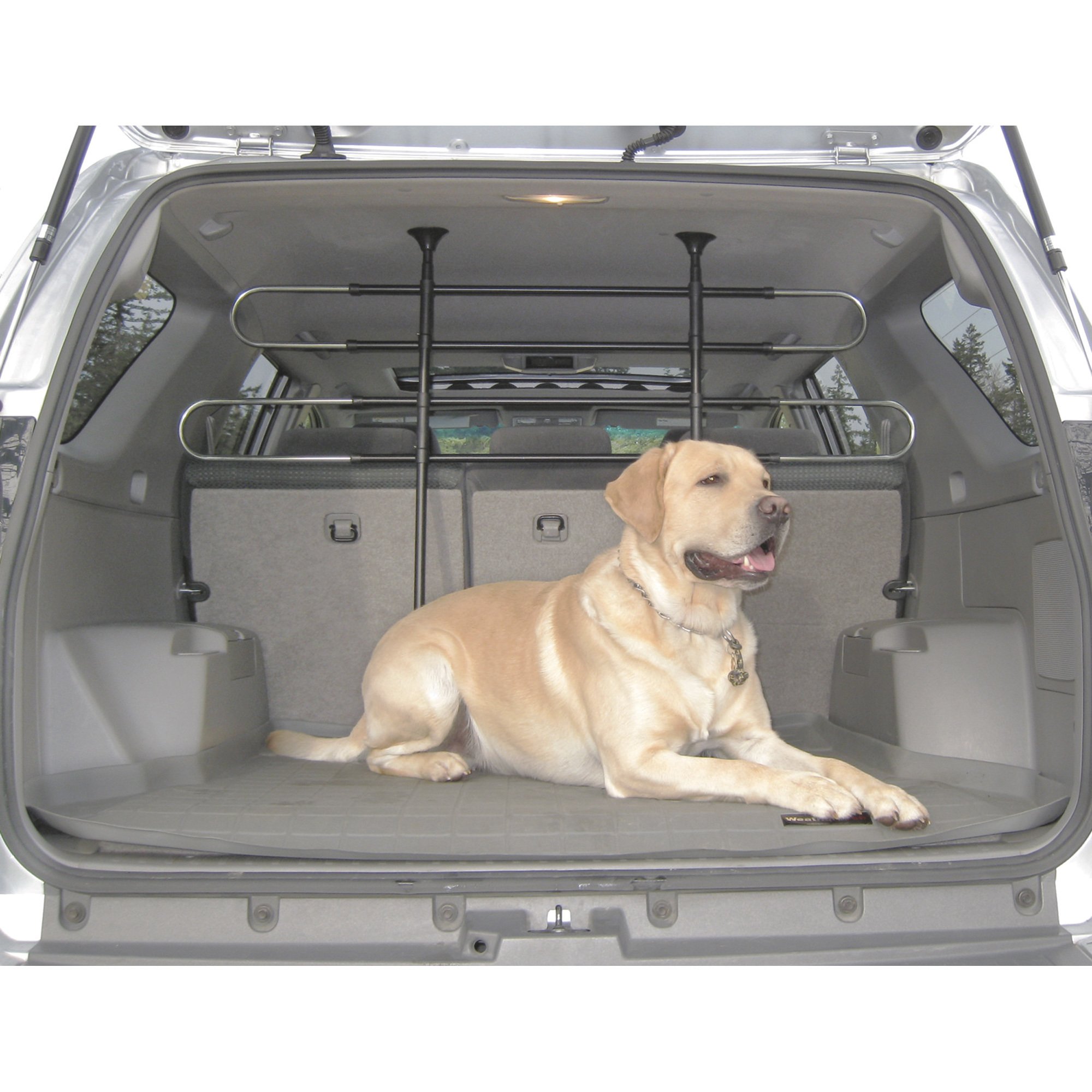 Pet + Wildlife Supplies